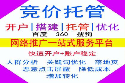 行业趋势下的SEM营销策略及成功案例研究
